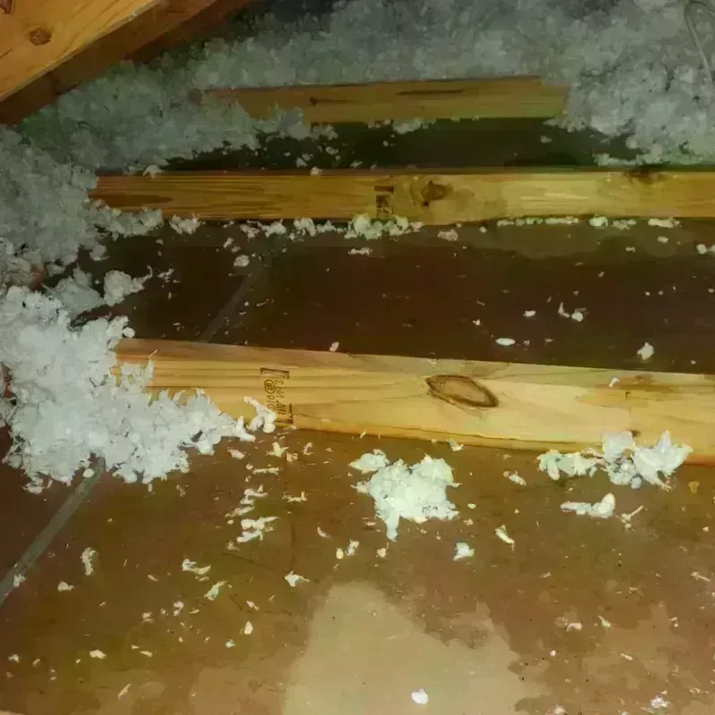 Attic Water Damage in Warner, OK