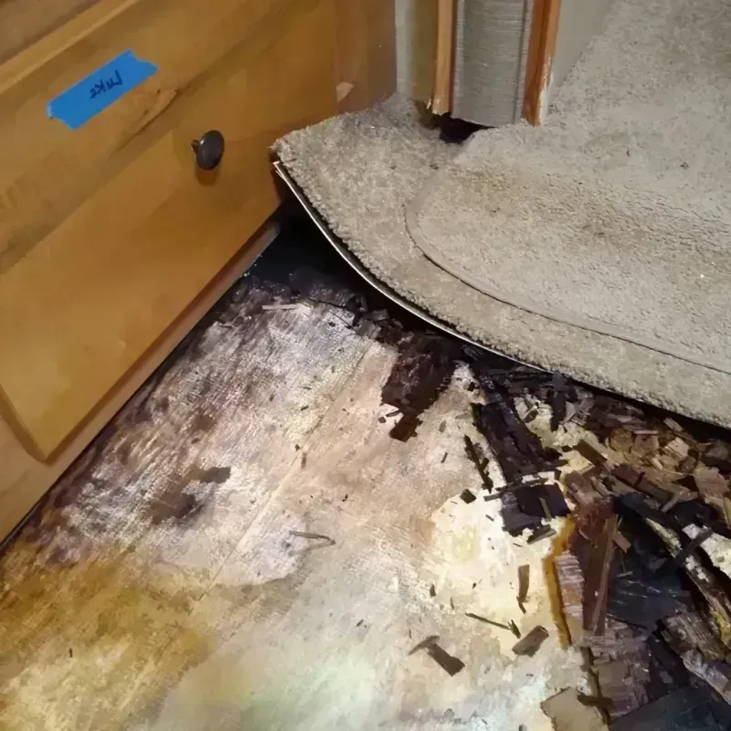 Wood Floor Water Damage in Warner, OK